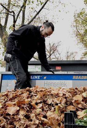 Blätter werden auf Ladefläche von Pritschenfahrzeug verstaut