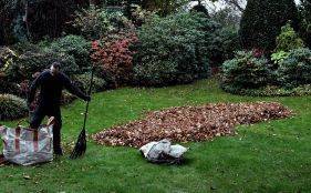 Blätterentfernung im Garten
