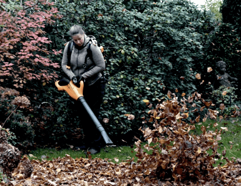 Entfernen von Blättern mit Laubsauger