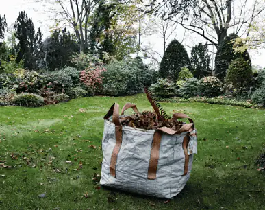 Sauberer Rasen mit Blättern in Tüte