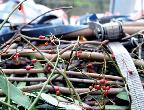 LogicLine Zurrgurt mit Ratsche