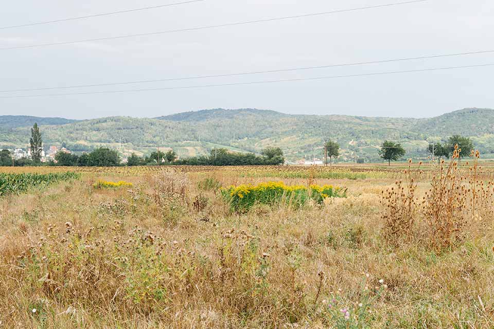 View of Eisenstadt, city in Burgenland, Austria